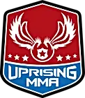UMMA Logo FullColor 2